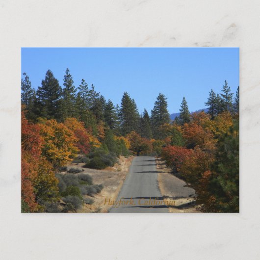 カラフル貯水池を秋.....ポストカード ポストカード (正面)