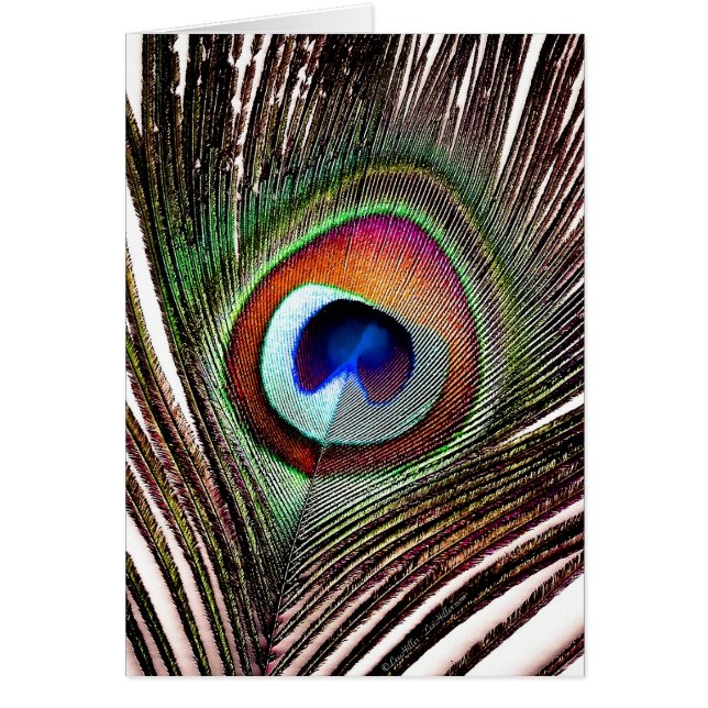 カラフル銅孔雀 (正面)