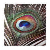 カラフル銅孔雀 タイル (正面)