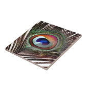 カラフル銅孔雀 タイル (側面)