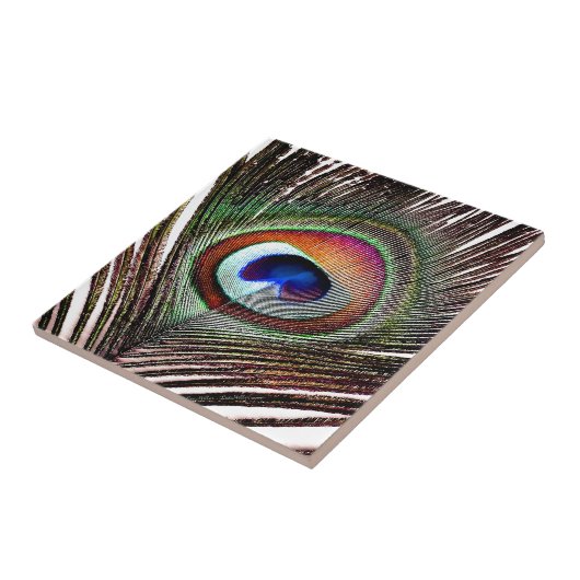 カラフル銅孔雀 タイル (側面)