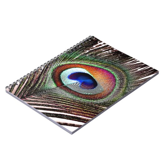 カラフル銅孔雀 ノートブック (左側)