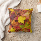 カラフル鮮やか紅葉自然撮影 クッション (ブランケット)