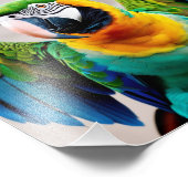 カラフル鳥 フォトプリント            (角)