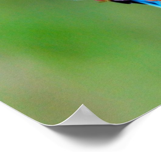 カラフル鳥 ポスター (角)