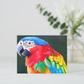 カラフル鳥 ポストカード (スタンド正面)