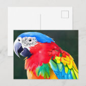 カラフル鳥 ポストカード (正面/裏面)