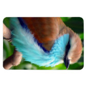 カラフル鳥 マグネット (横)