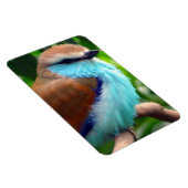 カラフル鳥 マグネット (右側)