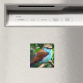 カラフル鳥 マグネット (インサイチュ (食洗機))