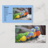 カラフル鳥 名刺 (正面/裏面)