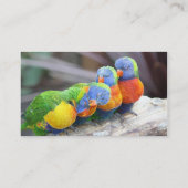 カラフル鳥 名刺 (裏面)