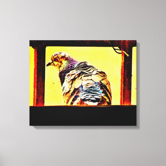 カラフル鳩 キャンバスプリント (正面)