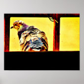 カラフル鳩 ポスター (正面)