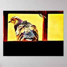 カラフル鳩 ポスター