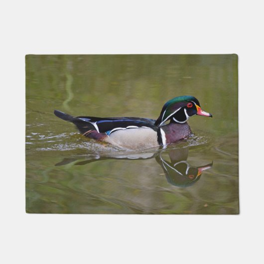 カラフル鴨 ドアマット (正面)