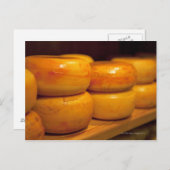 カラフル黄色のエダムチーズが並ぶ ポストカード (正面/裏面)