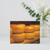 カラフル黄色のエダムチーズが並ぶ ポストカード (スタンド正面)