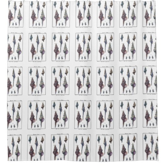 カラフル7つの貝殻 シャワーカーテン (正面)