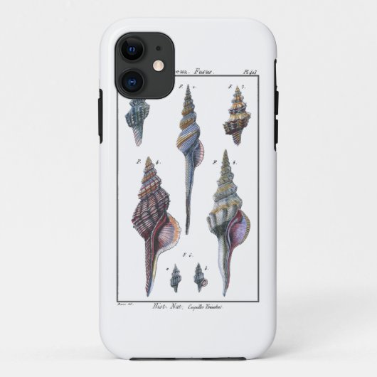 カラフル7つの貝殻 Case-Mate iPhoneケース (裏面)