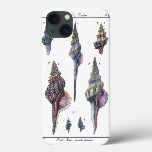 カラフル7つの貝殻 iPhone 13ケース