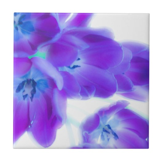 カラフル、ガーリーで、ロマンチックな、紫色のチューリップ タイル (正面)