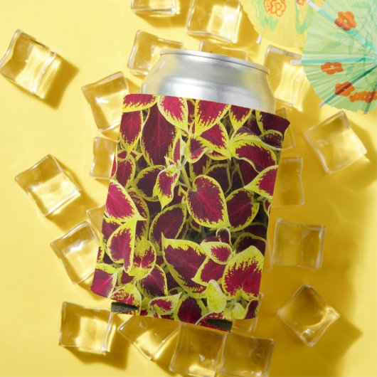 カラフル・コレウスの葉の花柄 缶クーラー (インサイチュ 夏)