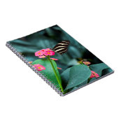 カラフル ノートブック (右側)