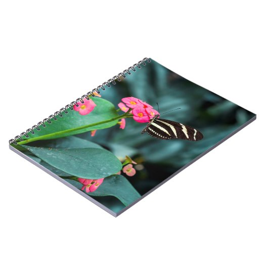 カラフル ノートブック (左側)