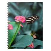 カラフル ノートブック (正面)