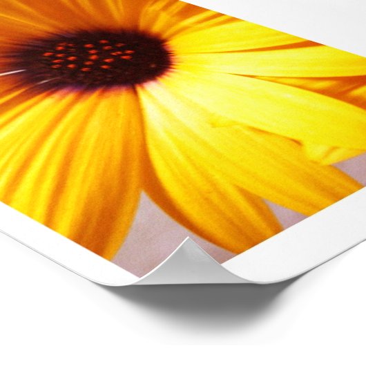 カラフル ポスター (角)