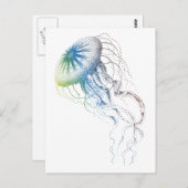 カラフル ポストカード (正面/裏面)