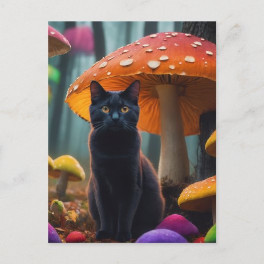 カラフル ポストカード (正面)