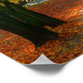 カラフル・リーフを使用したパーソナル化可能なカルペ・ディエム ポスター (角)