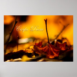 カラフル・リーフを使用したパーソナル化可能なカルペ・ディエム ポスター