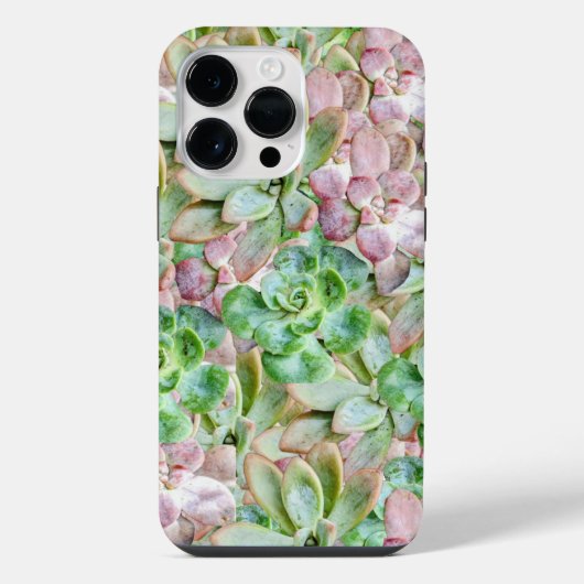 カラフル 多肉植物      iPhoneケース (裏面)