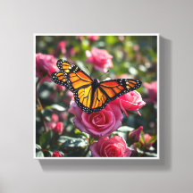 カラフル(昆虫)オオカバマダラ、モナーク蝶の羽