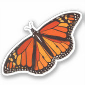 カラフル（昆虫）オオカバマダラ、モナーク蝶（羽を開いた蝶） シール (正面)