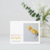 カラフル+明メリーるい写真 |ハッピーホリデー ポストカード (スタンド正面)