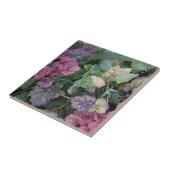 カラフルHeuchera植葉物植物学 タイル (側面)