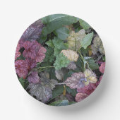 カラフルHeuchera植葉物植物学 ペーパーボウル (正面)