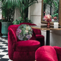 カラフルHeuchera植葉物植物学