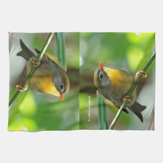 カラフルLeiothrix キッチンタオル (横)