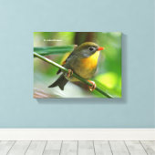 カラフルLeiothrix キャンバスプリント (インサイチュ (ウッドフロア))