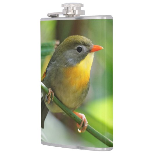 カラフルLeiothrix フラスク (左)