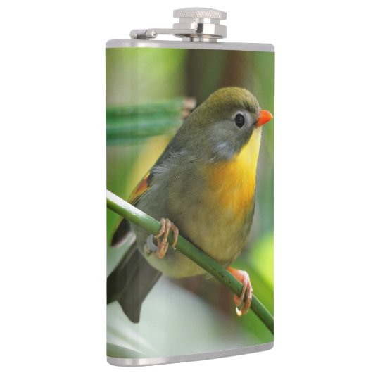 カラフルLeiothrix フラスク (右)