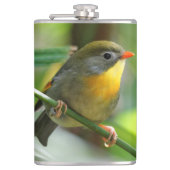 カラフルLeiothrix フラスク (正面)