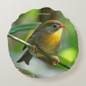 カラフルLeiothrix ラウンドクッション (裏面)