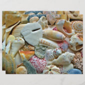 カラフルSeashellsスクラップブックページクラフト紙 (正面/裏面)