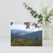 カラブリアのパノラマ ポストカード (スタンド正面)